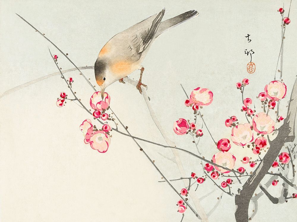 Wall Art Painting id:311984, Name: Songbird on blossom Branch, Artist: Koson, Ohara