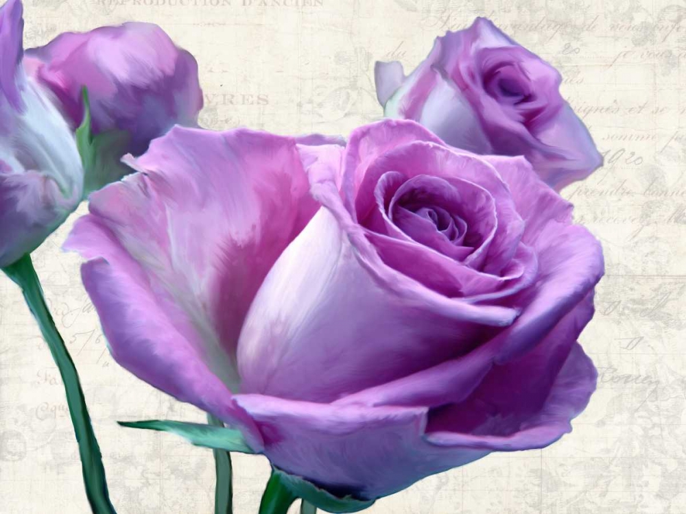 Wall Art Painting id:44207, Name: Porcelain, Artist: Thomlinson, Jenny