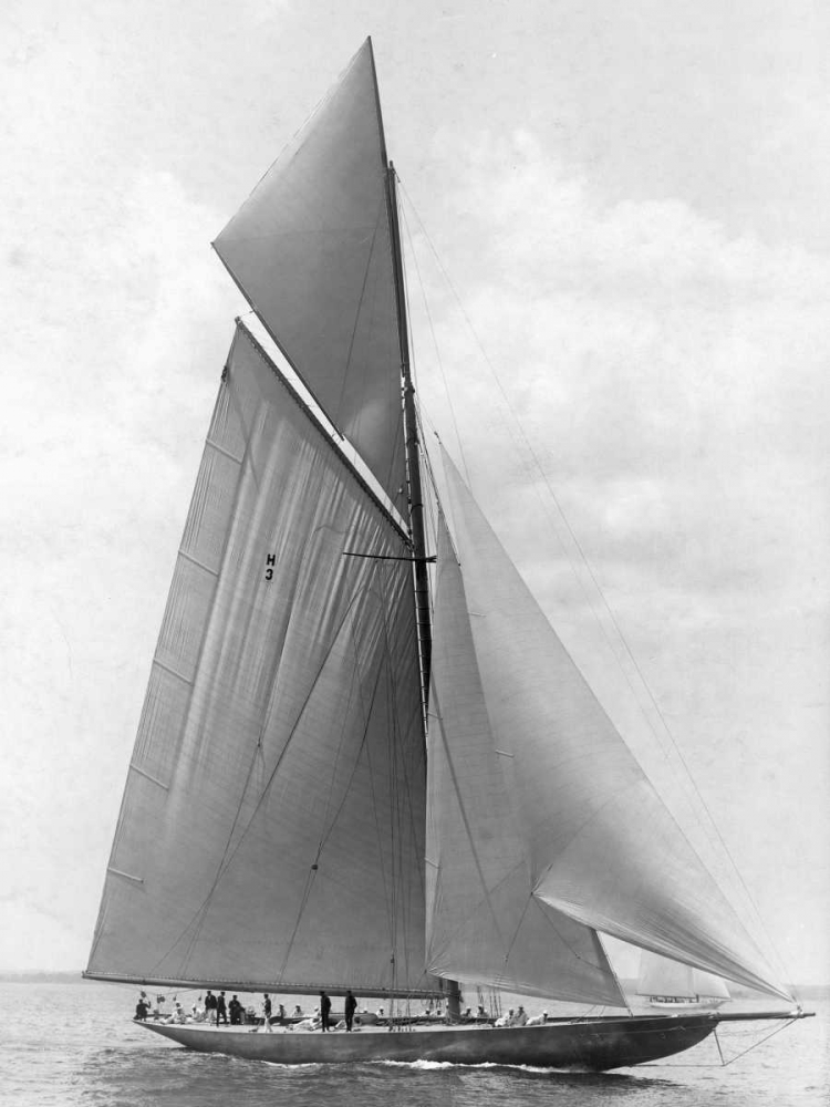 Wall art: The Vanitie During the Americas Cup 1910, by Levick, Edwin