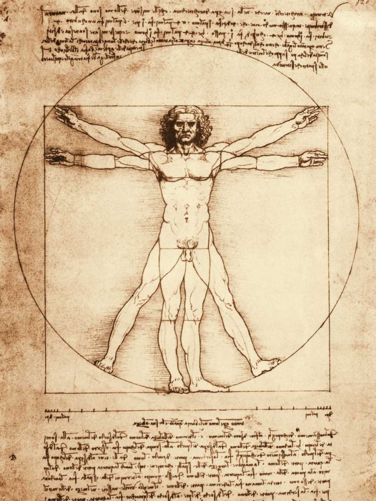 Wall Art Painting id:44015, Name: Vitruvian Man, Artist: da Vinci, Leonardo