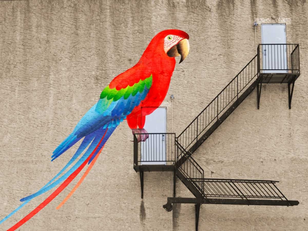 Wall Art Painting id:167485, Name: Escape from your cage, Artist: Masterfunk Collective