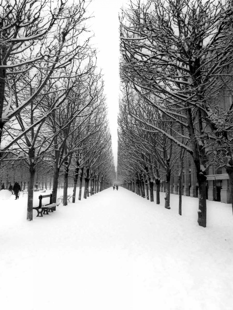 Wall art: The Tuileries Garden under the snow, Paris, by Setboun, Michel