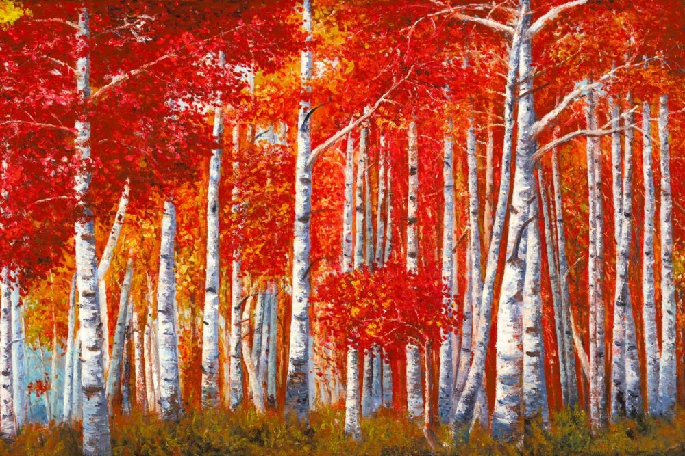 Art Print: Bosco di betulle