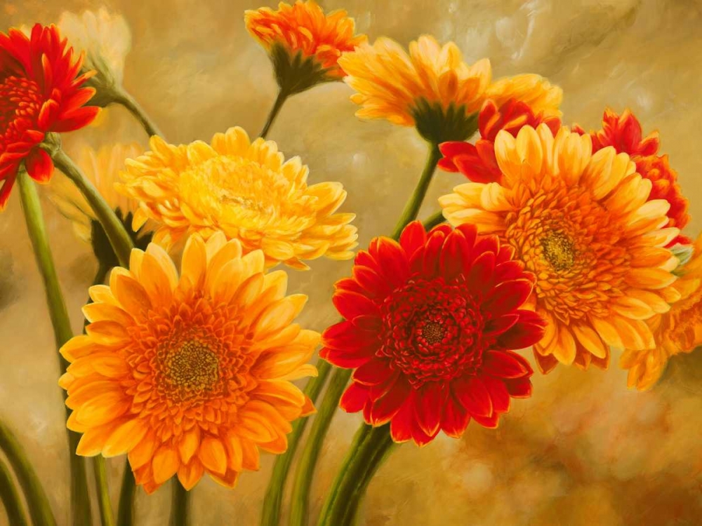Wall Art Painting id:44227, Name: Gerbere nel sole, Artist: Biffi, Serena