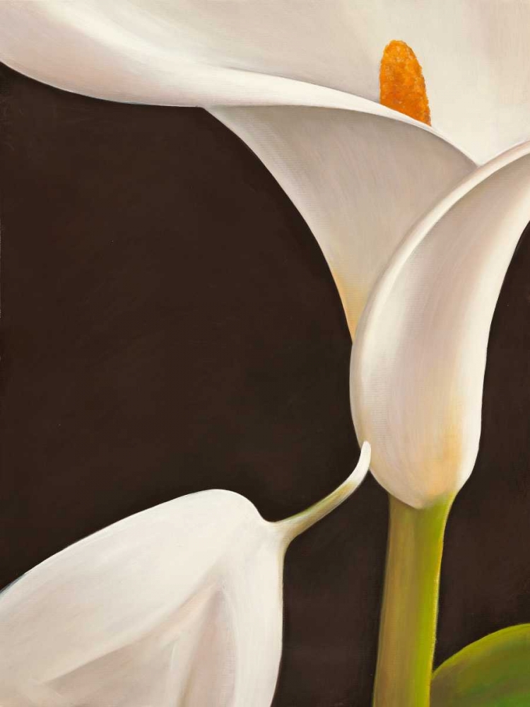 Wall Art Painting id:43417, Name: Calla moderna I, Artist: Biffi, Serena