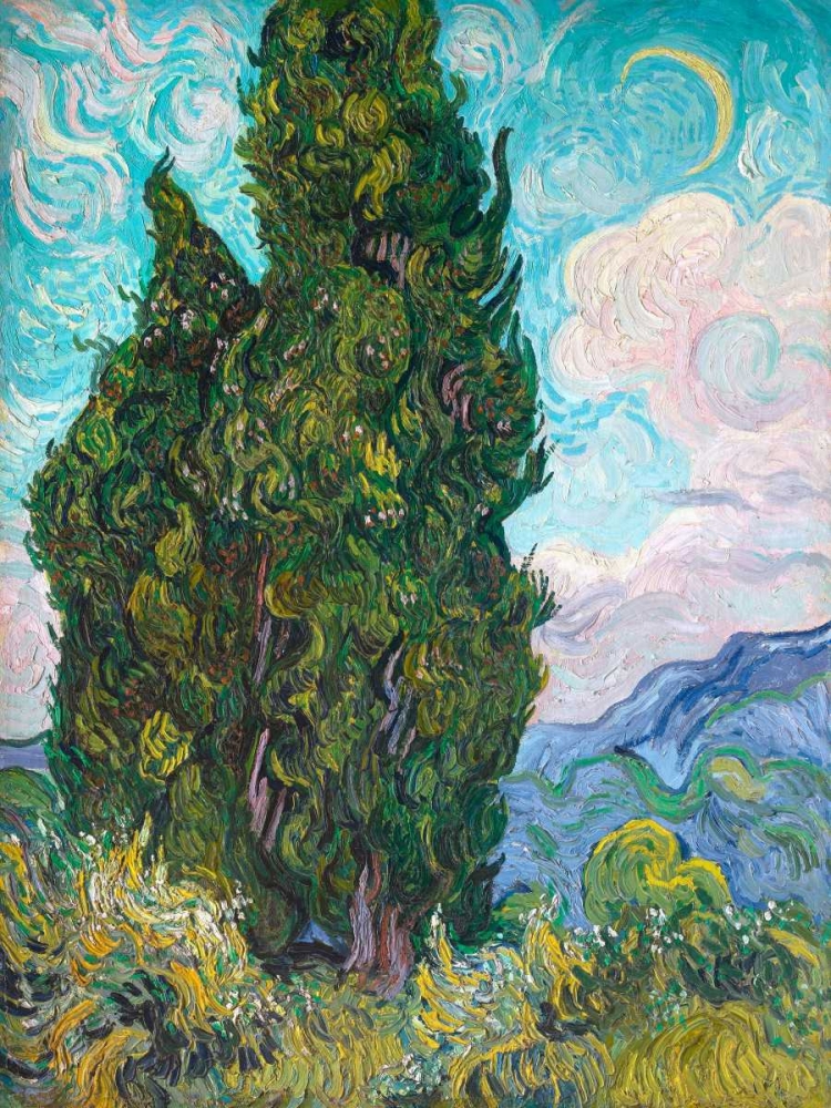 Art Print: Cypresses
