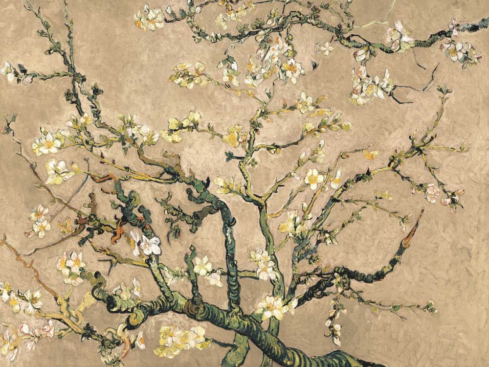 Wall art: Mandorlo in fiore (beige variation), by Van Gogh, Vincent