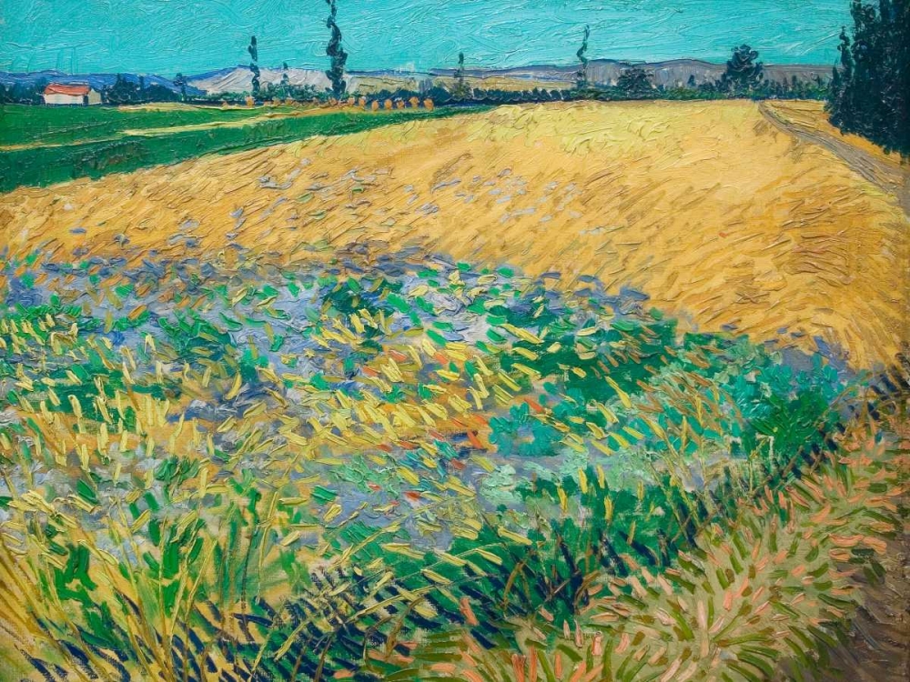 Wall Art Painting id:162950, Name: Wheatfield, Artist: van Gogh, Vincent