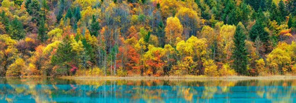 Art Print: Lake and forest in autumn, China