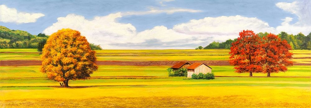 Art Print: Pianure serene