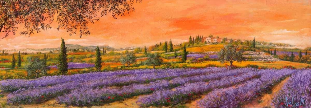 Art Print: Filari di lavanda