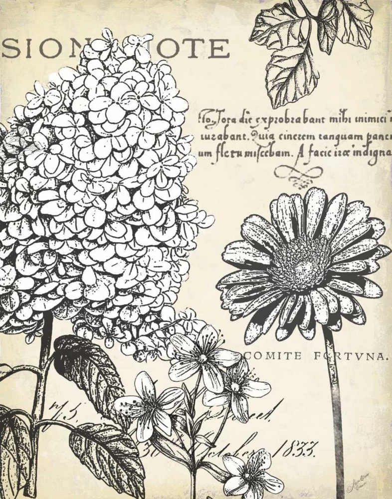 Wall Art Painting id:143047, Name: Pen and Ink Floral Study II , Artist: Cusson, Marie-Elaine