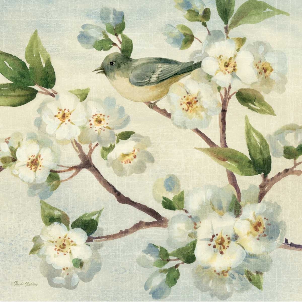 Wall art: Cherry Bloom Bird I, by Gladding, Pamela