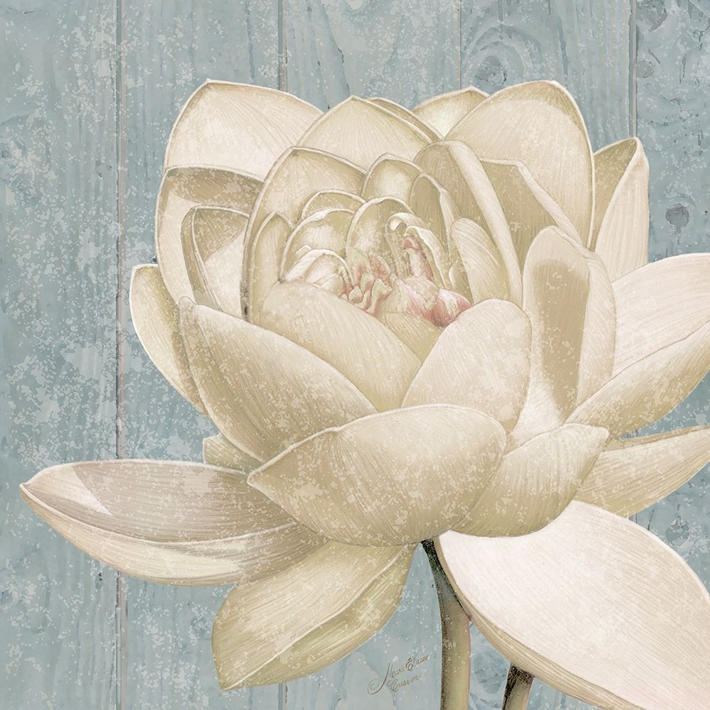 Wall Art Painting id:189740, Name: Vintage Lotus II , Artist: Cusson, Marie-Elaine