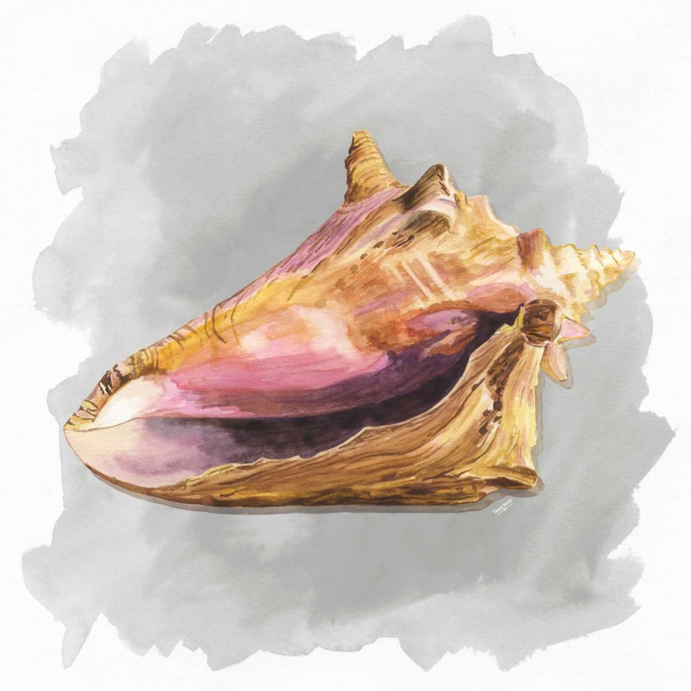 Wall Art Painting id:171747, Name: Shells on Grey II, Artist: Reed, Tara