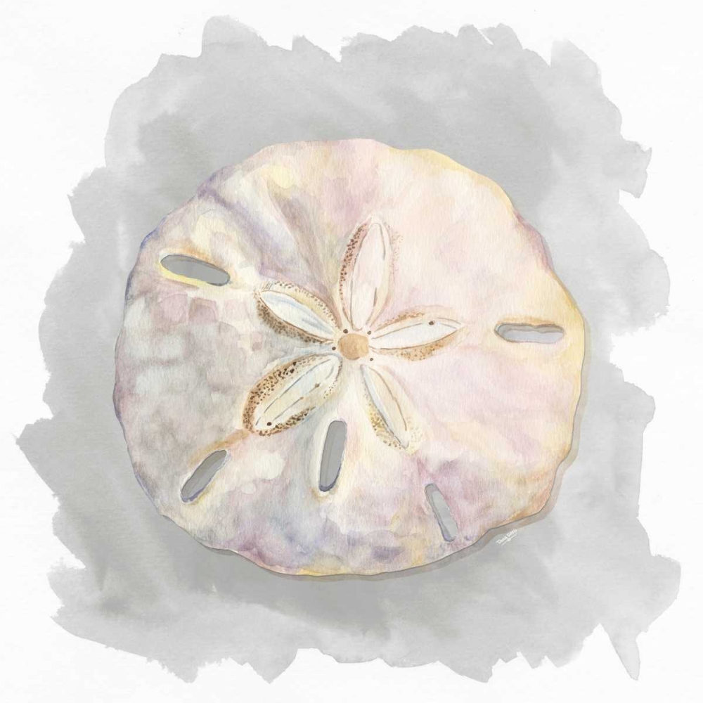 Wall Art Painting id:171749, Name: Shells on Grey IV, Artist: Reed, Tara