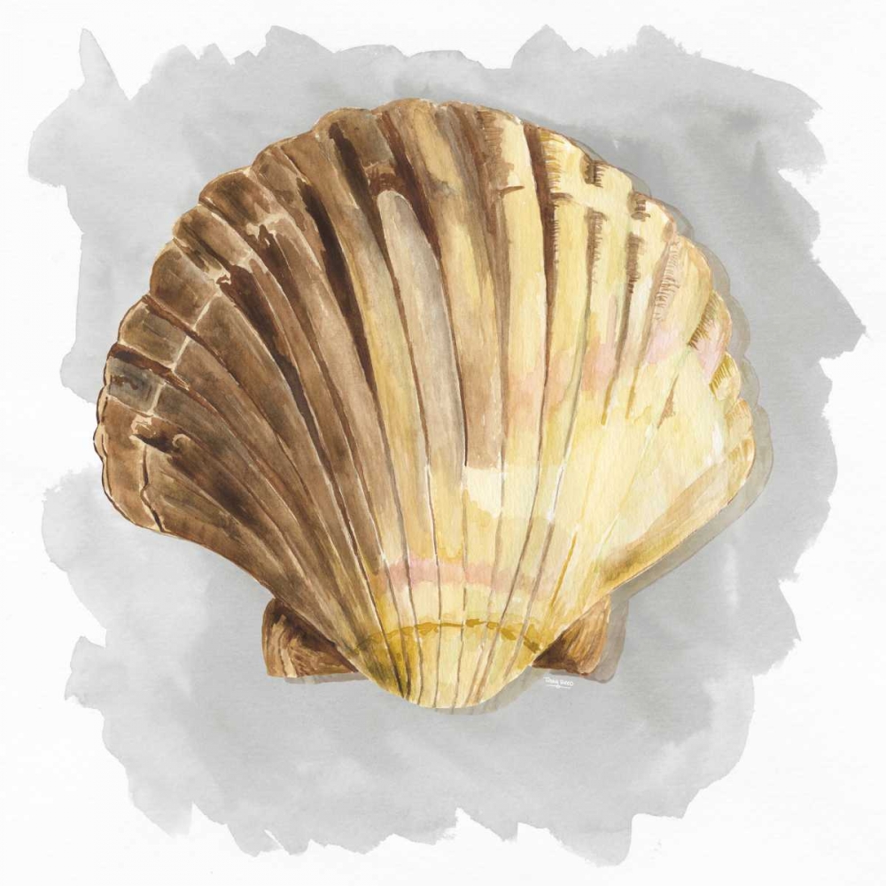 Wall Art Painting id:171750, Name: Shells on Grey V, Artist: Reed, Tara