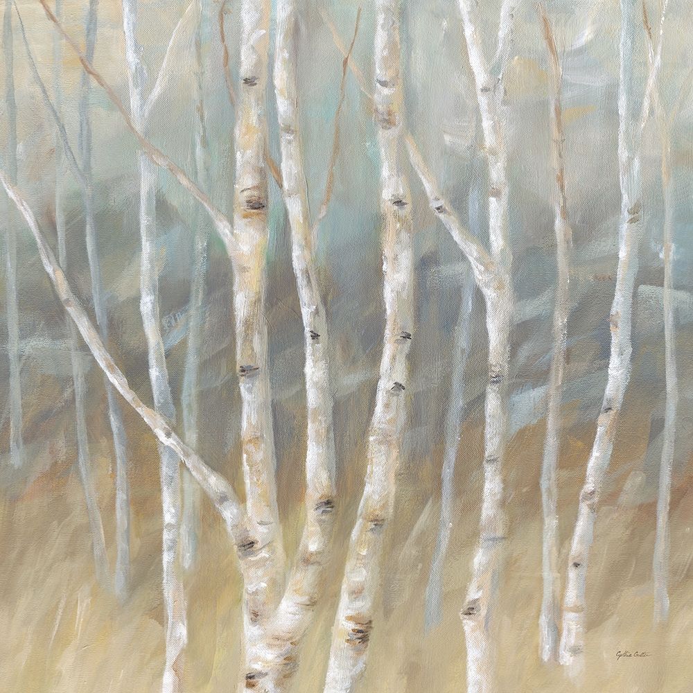 Wall art: Silver Birch Square, by Coulter, Cynthia