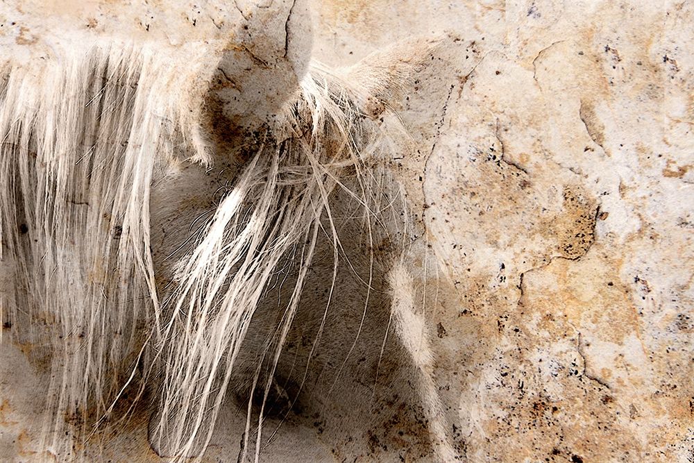 Art Print: Cast in Stone