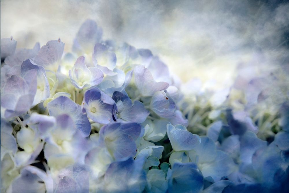 Similar wall art painting: 194469