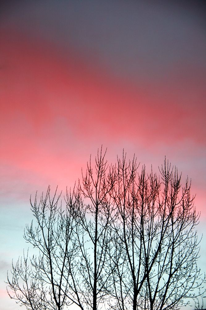 Art Print: Twilight Sunset panel set