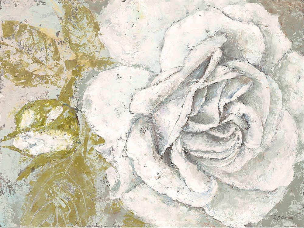 Wall art: White Rose Blossom, by Cusson, Marie-Elaine