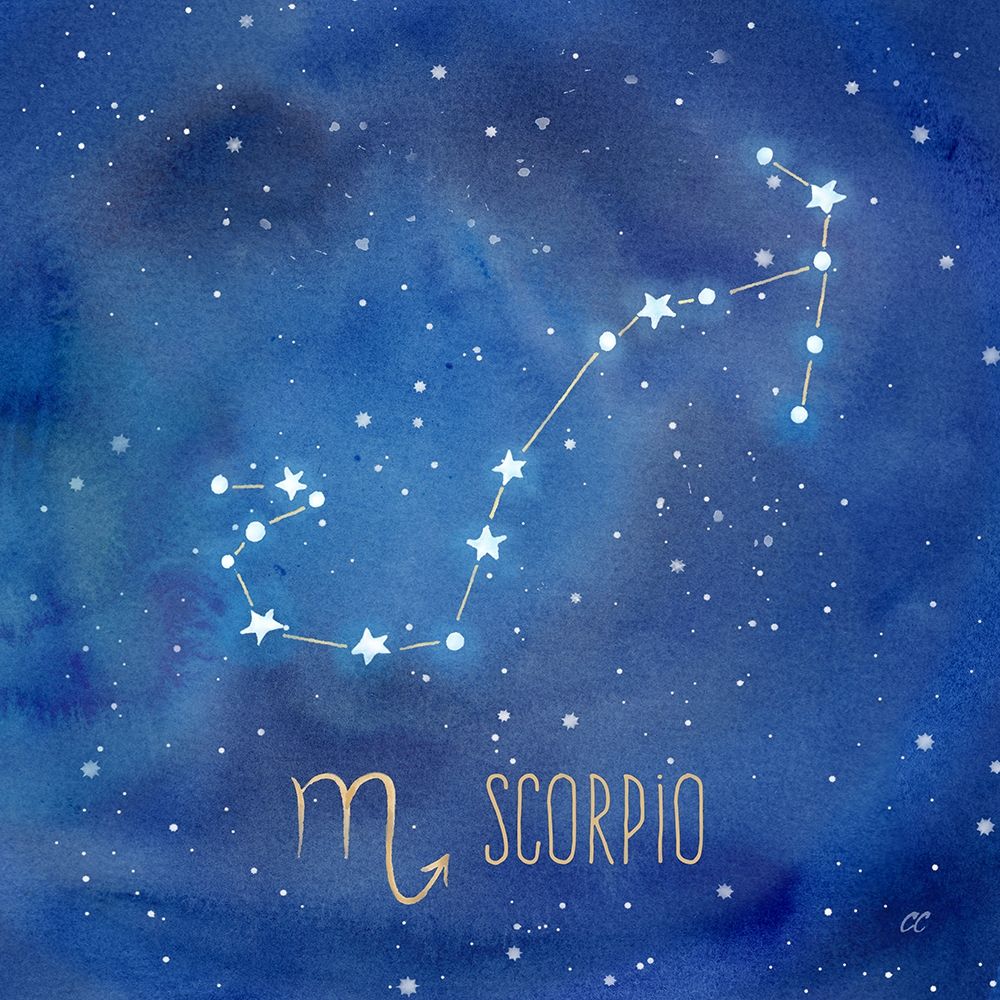Wall Art Painting id:212320, Name: Star Sign Scorpio, Artist: Coulter, Cynthia