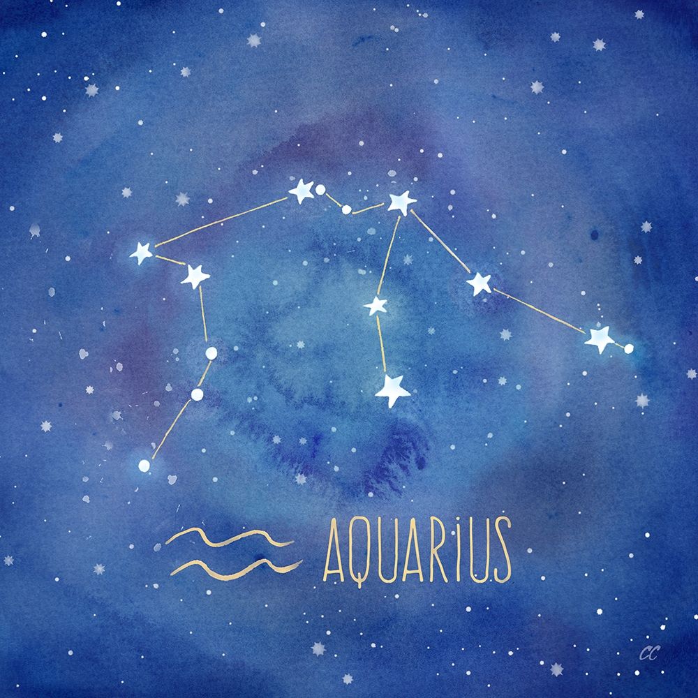 Wall Art Painting id:212323, Name: Star Sign Aquarius, Artist: Coulter, Cynthia