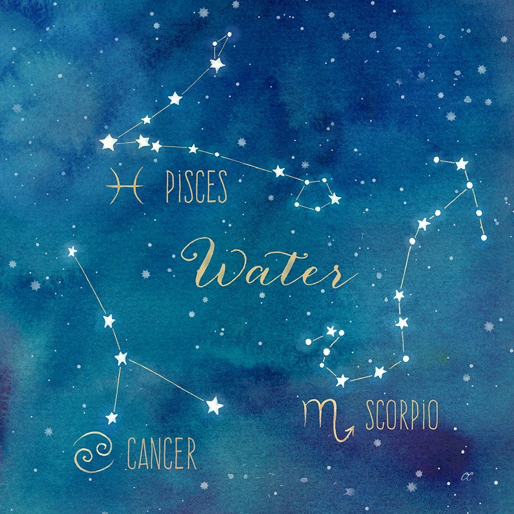 Wall Art Painting id:212326, Name: Star Sign Water, Artist: Coulter, Cynthia