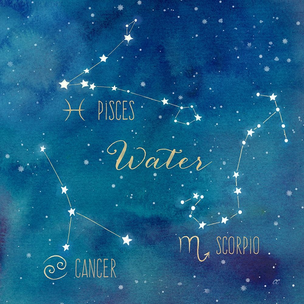 Wall art: Star Sign Water, by Coulter, Cynthia