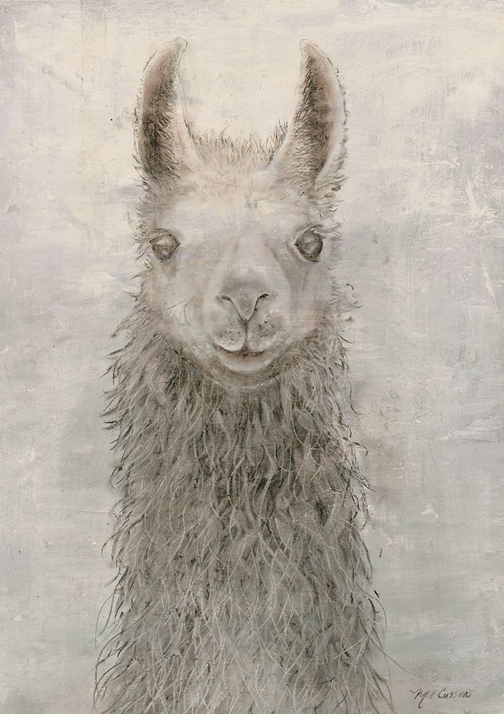 Art Print: Llama Portrait