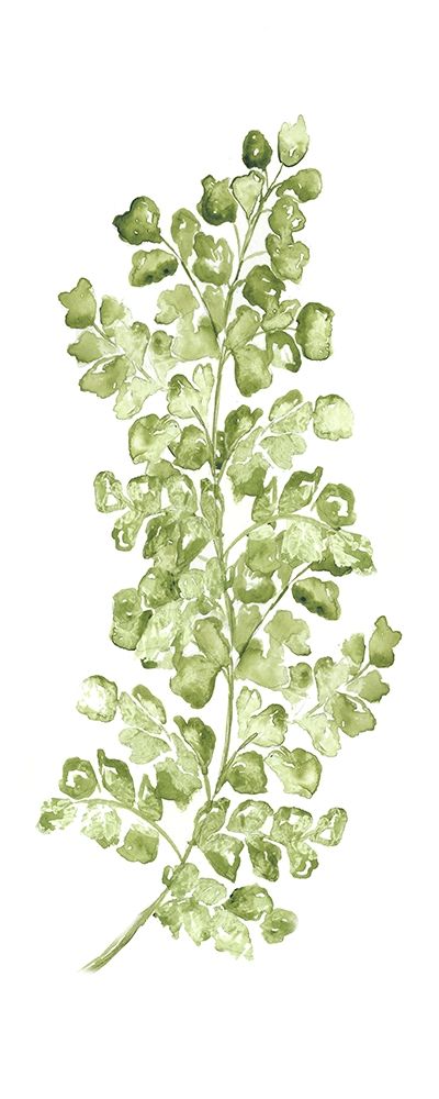 Art Print: Botanical Fern Single IV