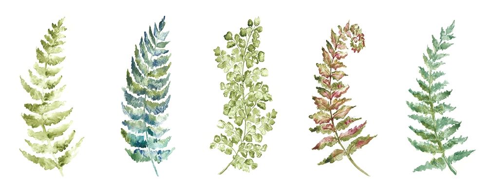 Art Print: Botanical Ferns Panel