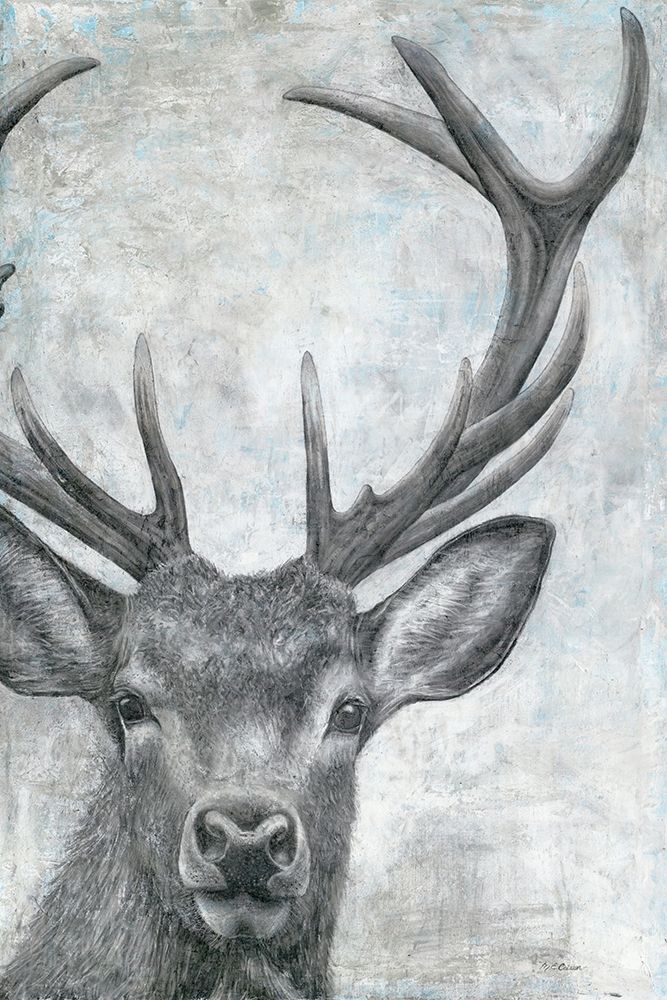 Art Print: Portrait of a Deer