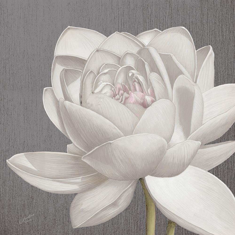 Wall art: Vintage Lotus on Grey II, by Cusson, Marie-Elaine