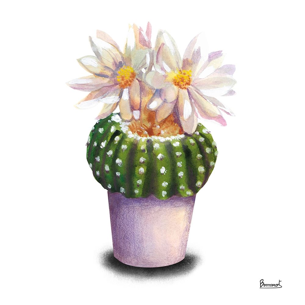 Wall Art Painting id:270553, Name: Cactus Flowers IX, Artist: Bannarot