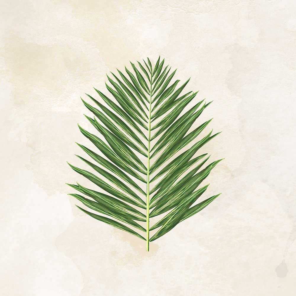 Wall art: Tropical Leaves II, by Lee C