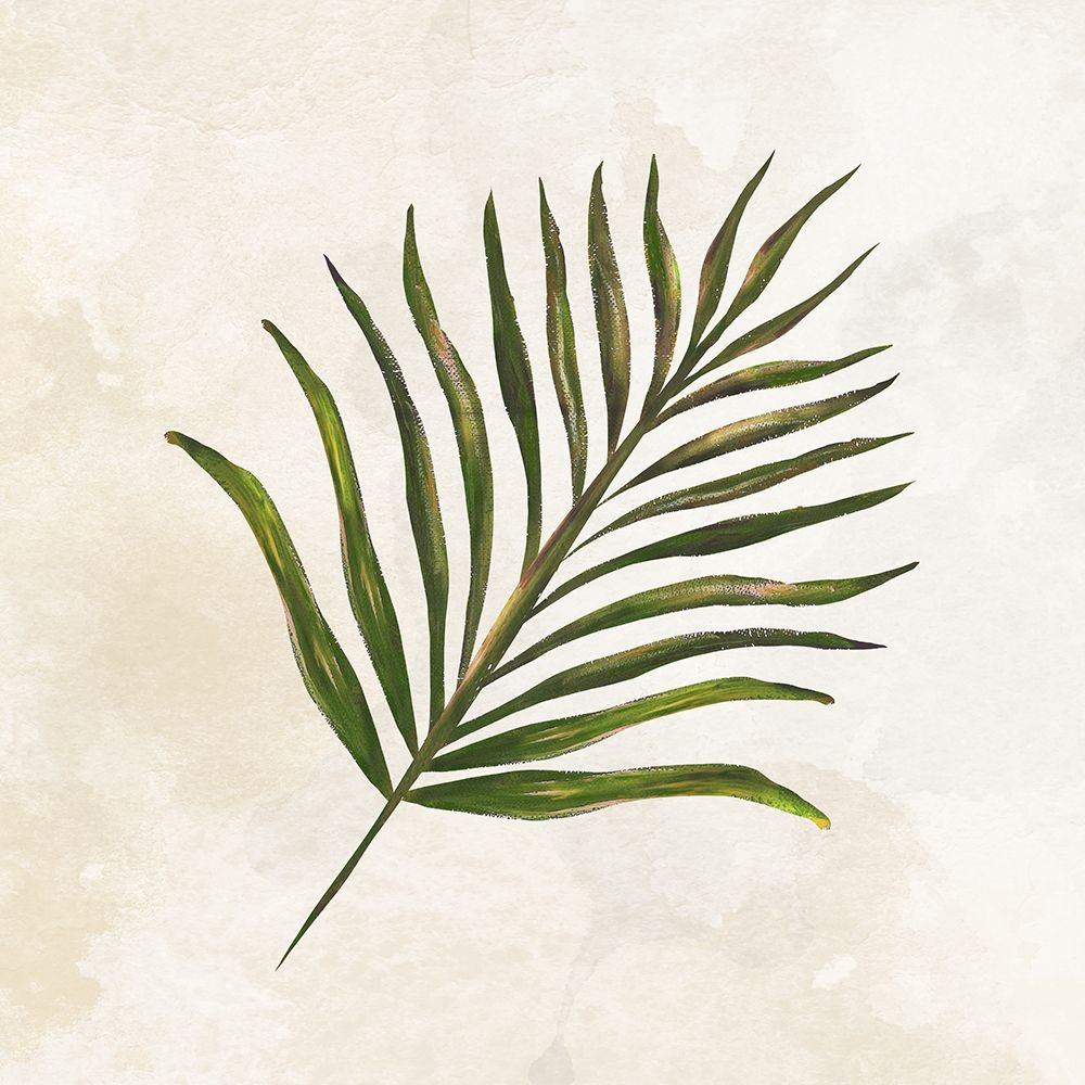 Art Print: Tropical Leaves IV