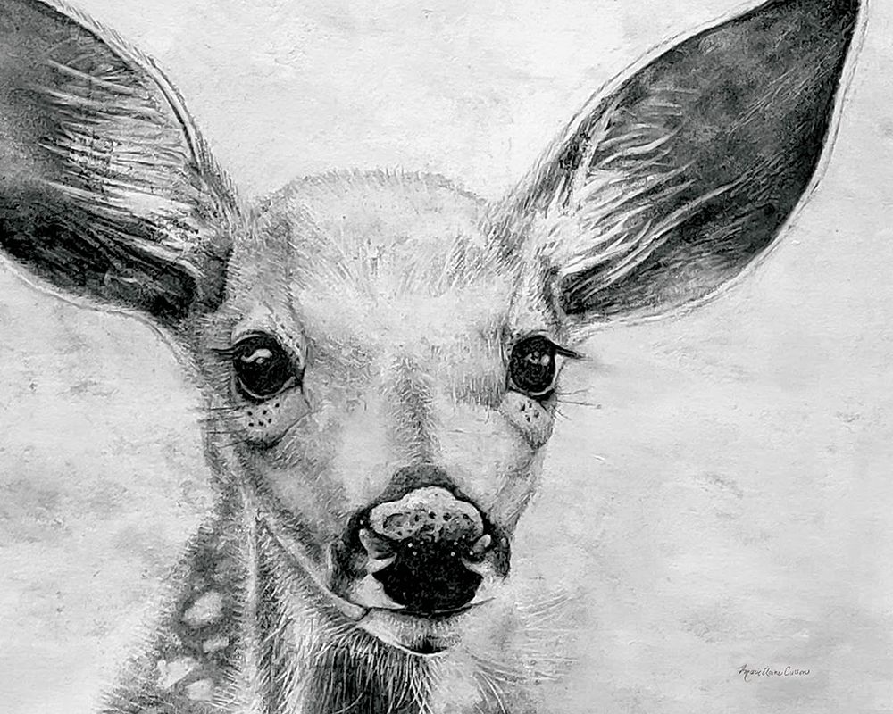 Art Print: Portrait of a Fawn