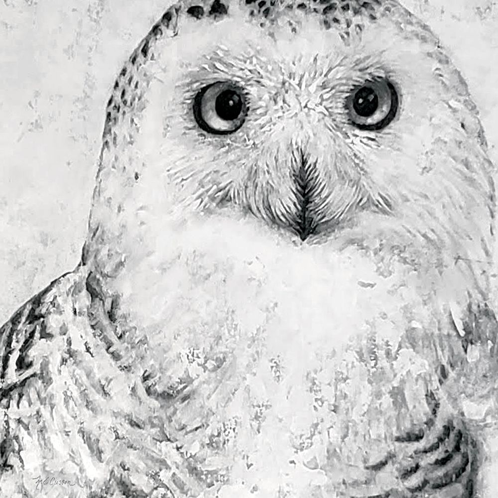 Art Print: Portrait of a Snowy Owl