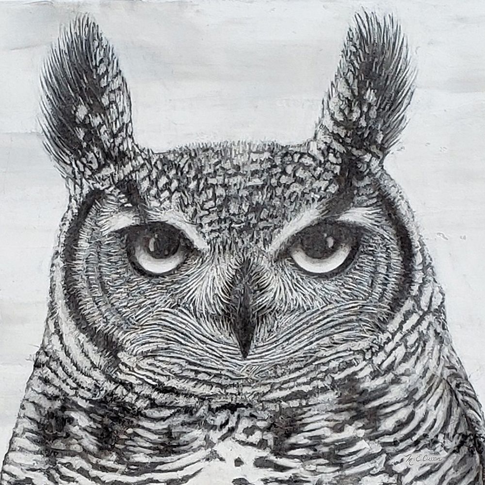 Wall Art Painting id:352456, Name: Portrait of an Owl, Artist: Cusson, Marie-Elaine