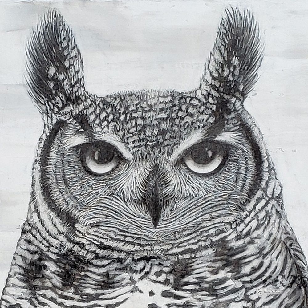 Art Print: Portrait of an Owl