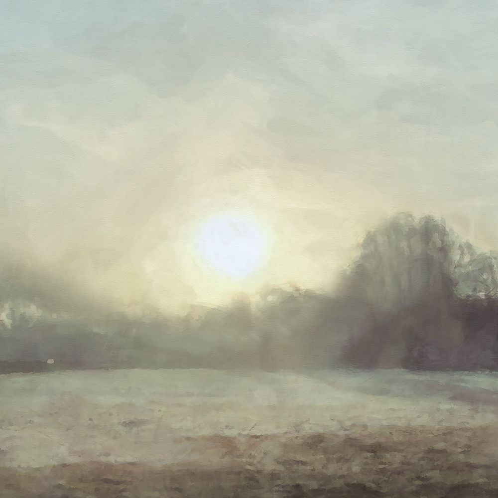 Wall Art Painting id:380262, Name: Sun  through Mist, Artist: Bay, Noah
