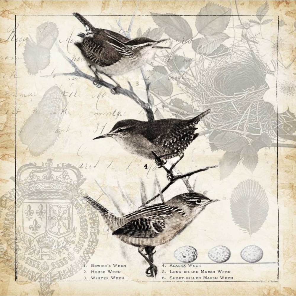 Art Print: Botanical Birds Black Cream I