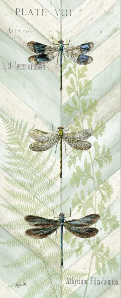 Art Print: Dragonfly Botanical Panels II