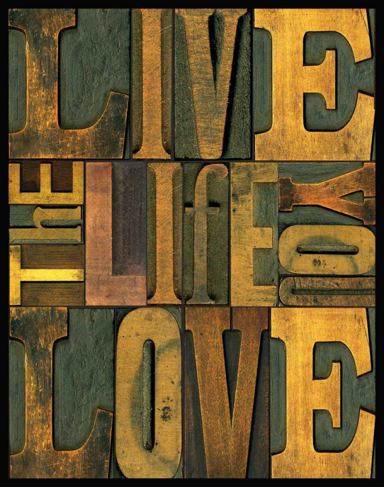 Wall Art Painting id:59511, Name: Printers Block Sentiments I, Artist: Reed, Tara
