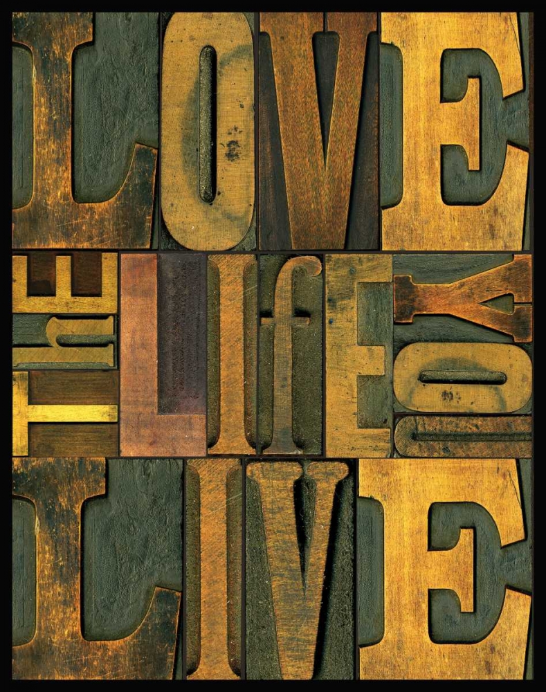 Wall Art Painting id:59512, Name: Printers Block Sentiments II, Artist: Reed, Tara