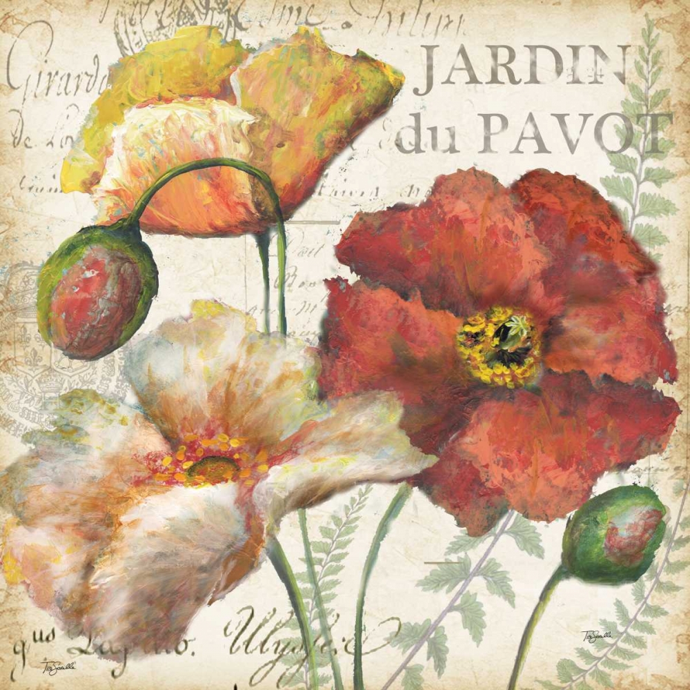Wall Art Painting id:53493, Name: Spice Poppies Histoire Naturelle II, Artist: Tre Sorelle Studios