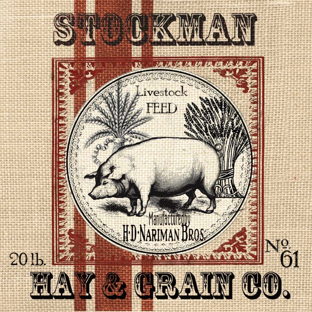 Wall Art Painting id:53021, Name: Organic Farm IV , Artist: Tre Sorelle Studios