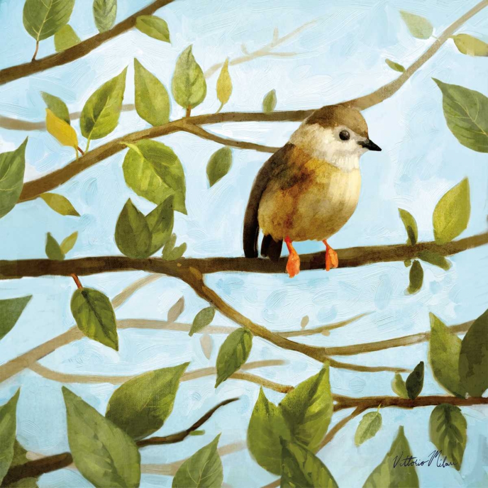 Wall Art Painting id:78015, Name: Morning Song I, Artist: Milan, Vittorio